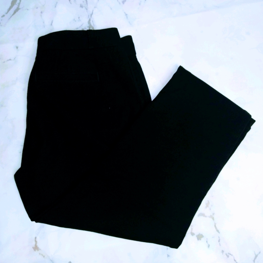 EC Banana Republic 6 Dress Pants